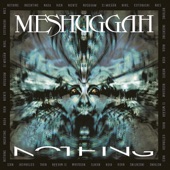 Meshuggah - Rational Gaze