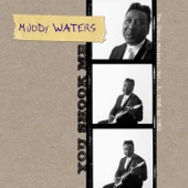 Muddy Waters - Five Long Years