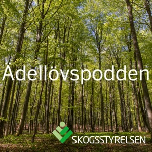 Ädellövspodden