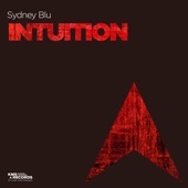 Intuition artwork