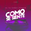 Como Se Siente (Remix) - Single album lyrics, reviews, download