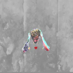 BUTTAFLY - Single - Luke Christopher BUTTAFLY - Single - Luke Christopher