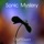 Sonic Mystery-Love of Two Hearts