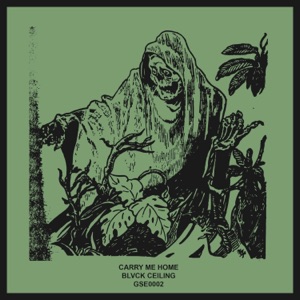 Carry Me Home - EP