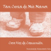 Tan Cerca de Mis Manos (feat. Coro Voz De Comunión) artwork