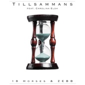 Tillsammans (feat. Carolina Eldh) artwork