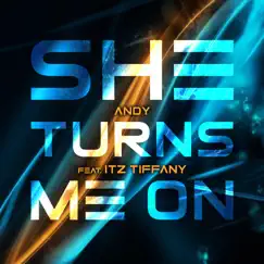 She Turns Me On - Single (feat. Itz Tiffany) - Single by Andy album reviews, ratings, credits