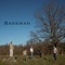 Bassman - 2Friends lyrics