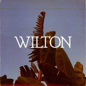Wilton - EP artwork