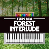 Felipe Jara - Forest Interlude (From "Donkey Kong Country 2")