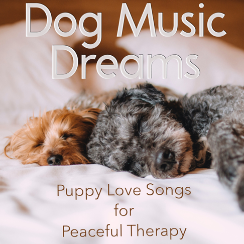 dog music library doggy dreams
