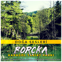 Doğa Sesleri