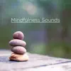 Mindfulness Sounds album lyrics, reviews, download