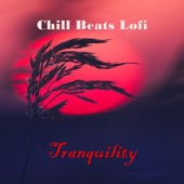 Tranquility (Lofi Beats) [feat. Beats De Rap] artwork