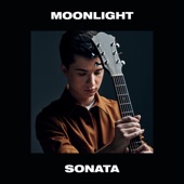Moonlight Sonata artwork
