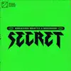 Secret - Single album lyrics, reviews, download