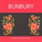 Intro - Bunbury lyrics