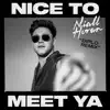 Nice to Meet Ya (Diplo Remix) - Single album lyrics, reviews, download