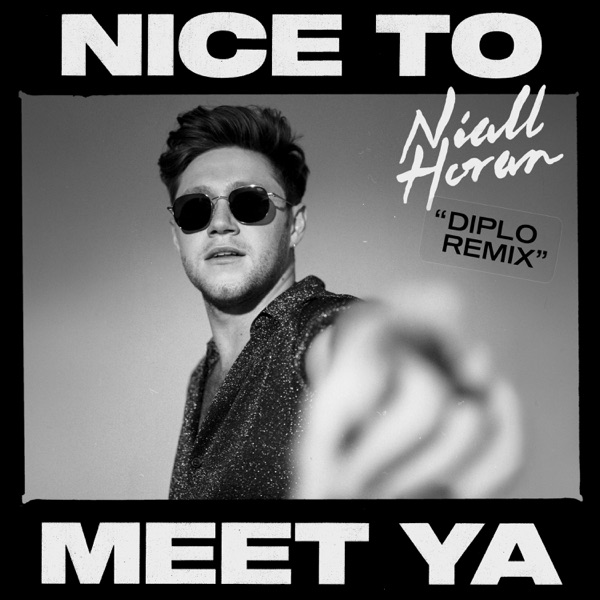 Nice to Meet Ya (Diplo Remix) - Single - Niall Horan & Diplo