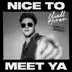 Nice to Meet Ya (Diplo Remix) - Single album cover