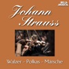 Strauss Sohn: Walzer - Polkas - Märsche, Vol. 1