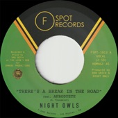 Night Owls - There's a Break in the Road (feat. Afrodyete)