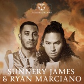 Tomorrowland Adscendo 2023, A Digital Introduction: Sunnery James & Ryan Marciano (DJ Mix) artwork