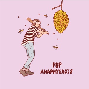 Anaphylaxis - Single