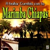 A Bailar Con La Marimba Chiapas