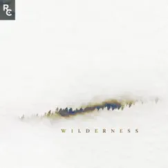 Wilderness (feat. Allyssa Goehring) Song Lyrics