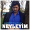 Neyleyim artwork