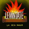 Levantate - Single