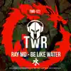 Be Like Water (Japan Version 1.0) - Single album lyrics, reviews, download