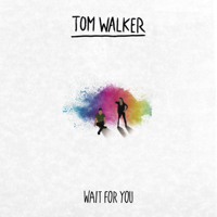 Tom Walker - Wait for You artwork