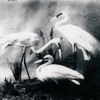 Buzzkill(Er) - Single