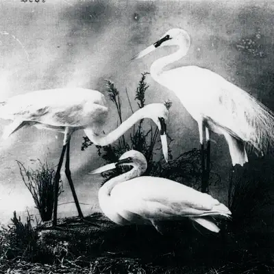 Buzzkill(Er) - Single - The Dead Weather