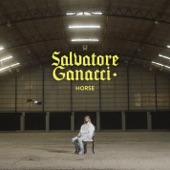 Salvatore Ganacci - Horse