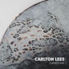 Carlton Lees - Stepping on the Cracks