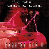 Digital Underground - Kiss You Back