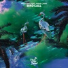 Birdcall - Single