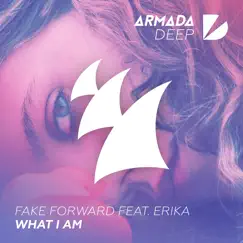 What I Am (feat. Erika) Song Lyrics