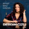 Derdim Gizli - Single