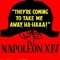 They're Coming to Take Me Away, Ha-Haaa! - Napoleon XIV lyrics