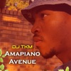 Amapiano Avenue - Single