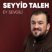 Ey Sevgili artwork