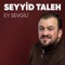 Ey Sevgili artwork