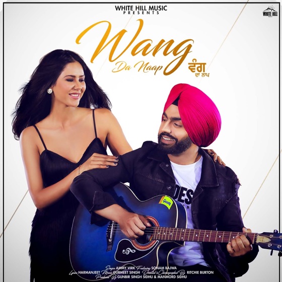 Cover artwork for Wang Da Naap (feat. Sonam Bajwa)