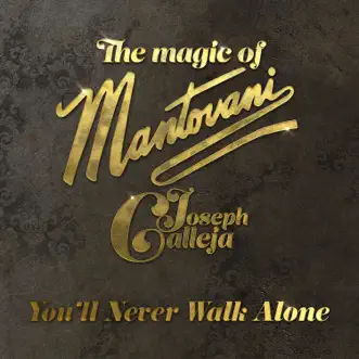 You'll Never Walk Alone - Single by Joseph Calleja album reviews, ratings, credits