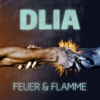 Feuer und Flamme - Single