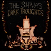The Shivas - Can You Feel It Too?